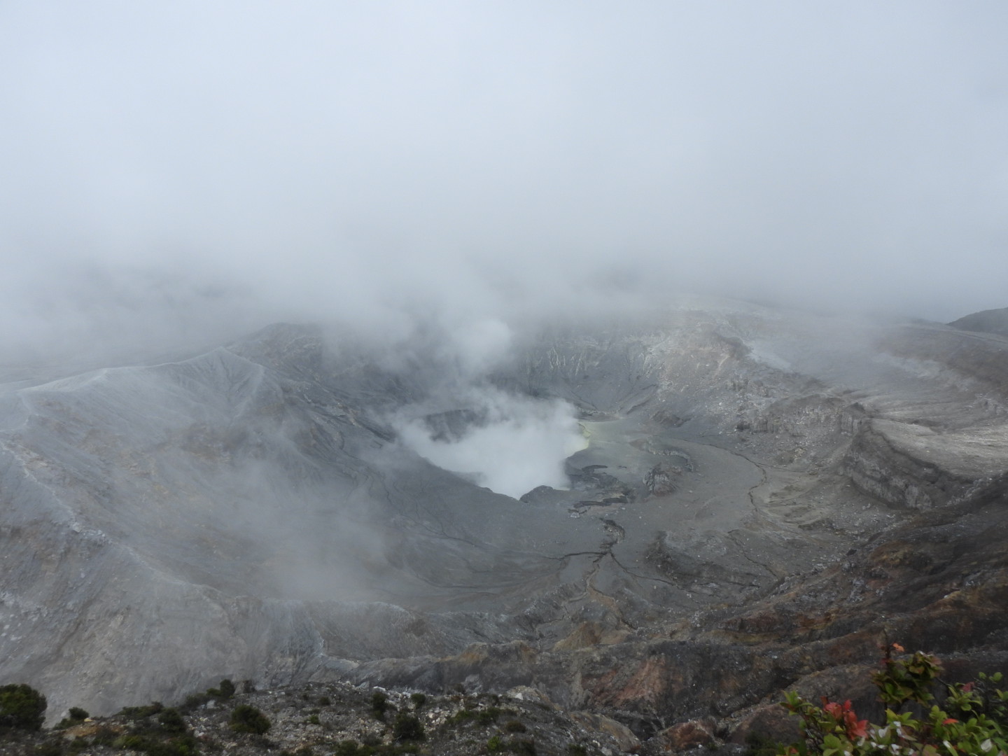 Tropilocal Tours South Caribbean Costa Rica gallery photo