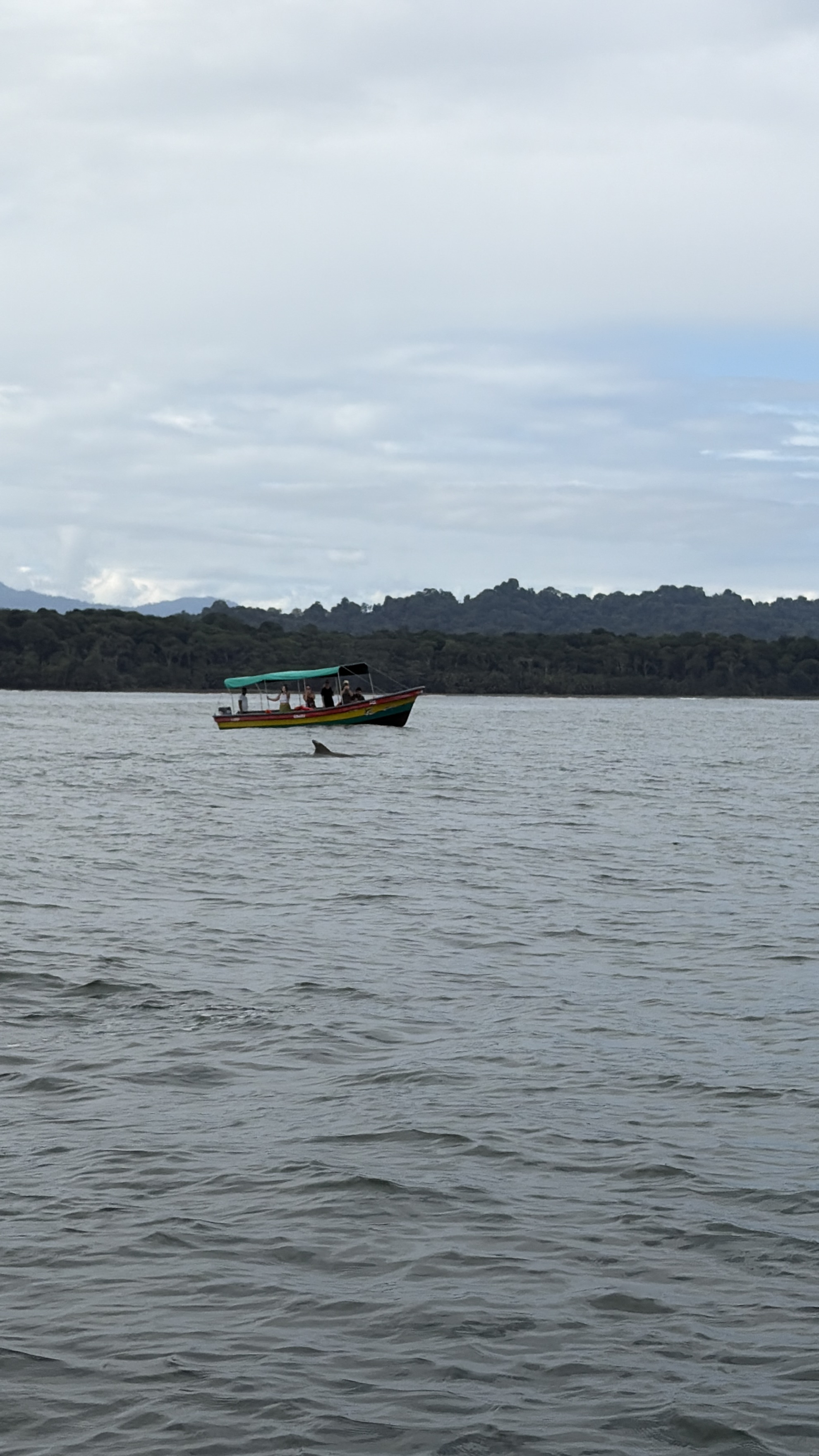 Tropilocal Tours South Caribbean Costa Rica gallery photo