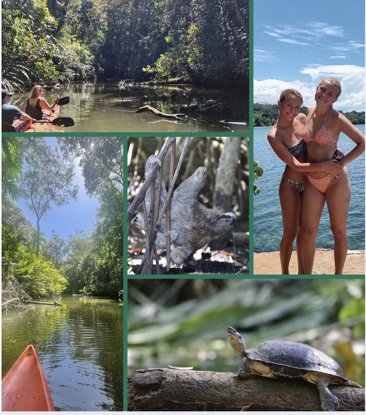Sloth Kayaking Punta Uva