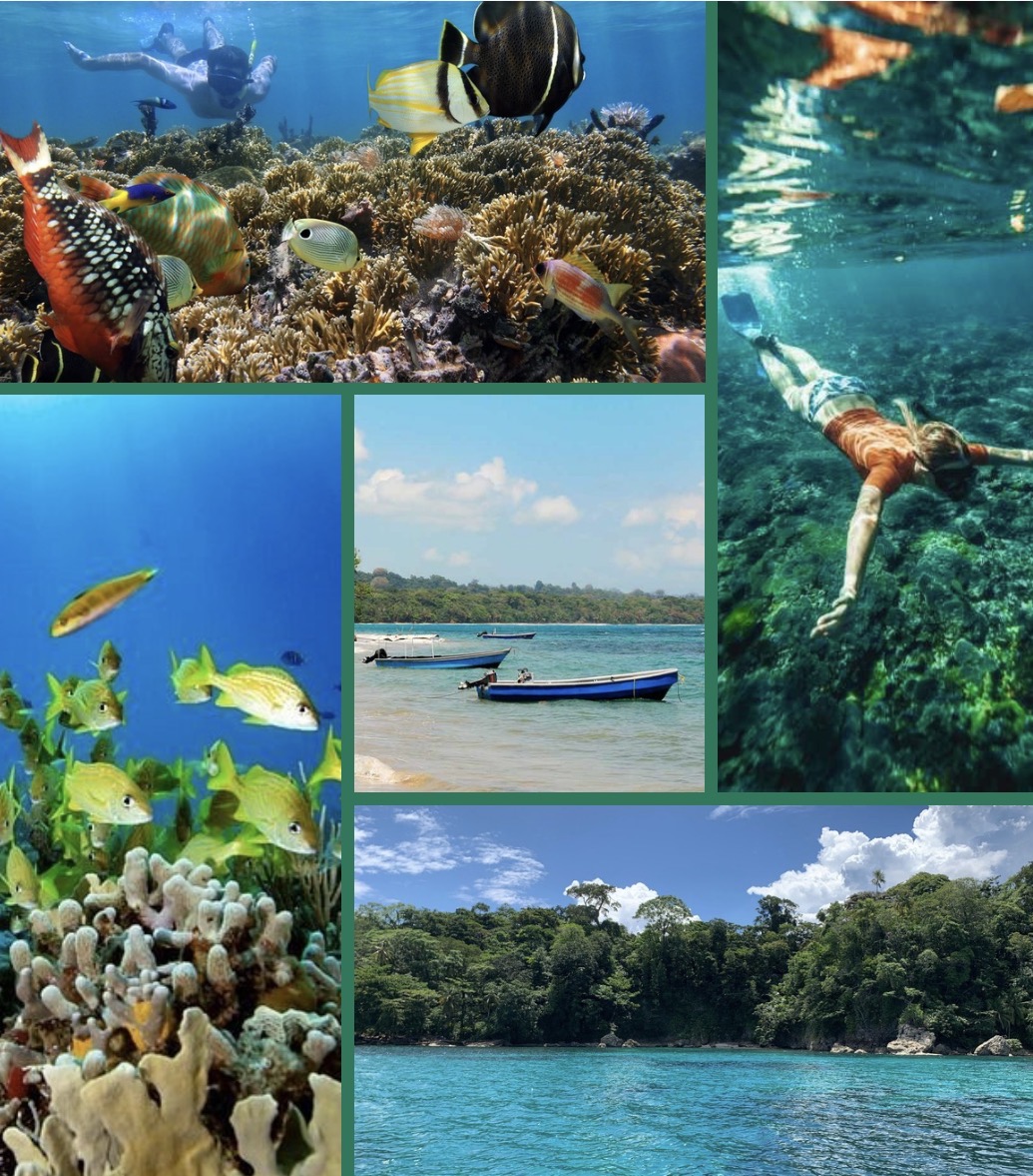 Coastal Snorkeling Experience
